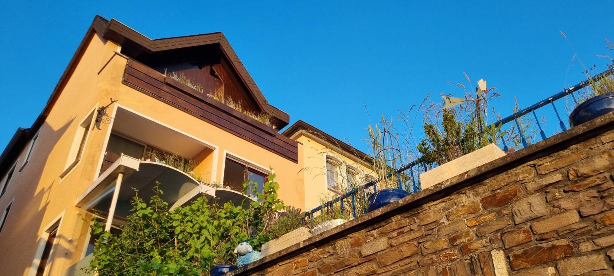 Pension Regina Cochem Buitenkant foto