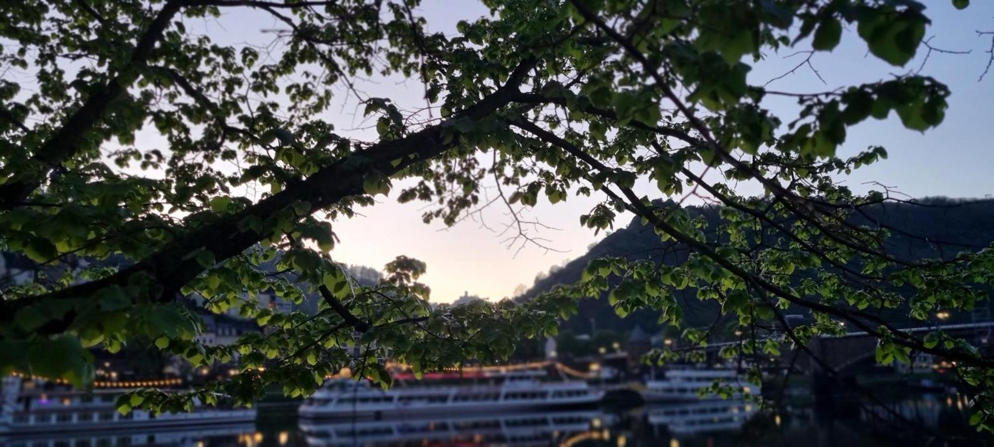 Pension Regina Cochem Buitenkant foto