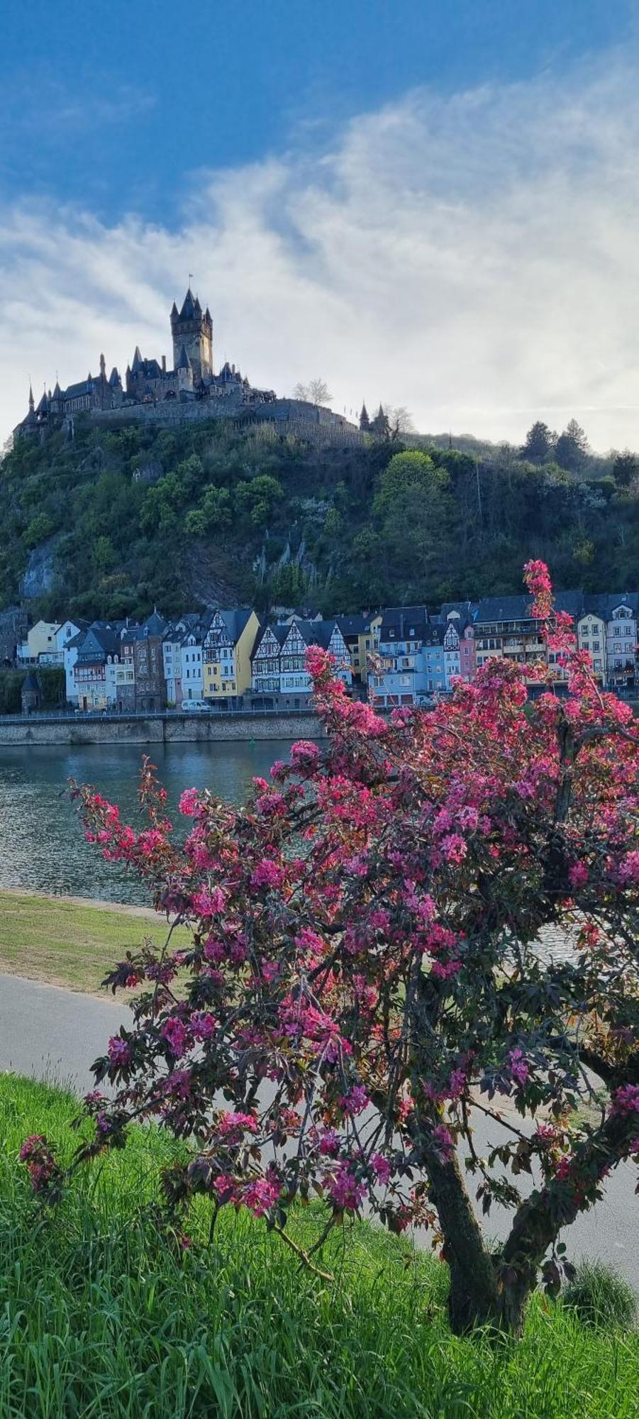 Pension Regina Cochem Buitenkant foto